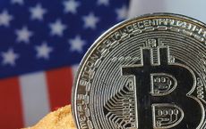 Article Image for Cryptocurrency Adoption by Institutional Investors in the US