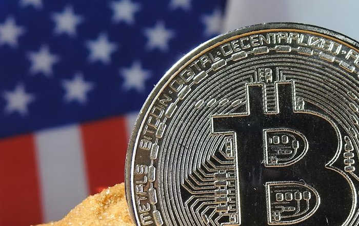 Article Image for Cryptocurrency Adoption by Institutional Investors in the US
