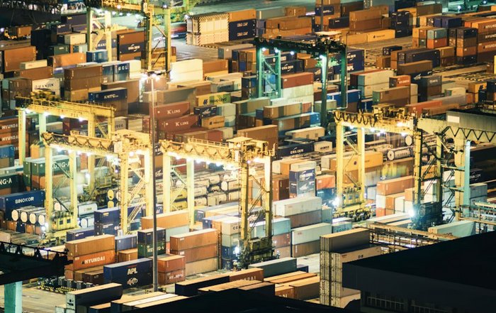 Article Image for Global Supply Chains and Economic Resilience