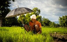 Article Image for Sustainable Agriculture and Business Investment