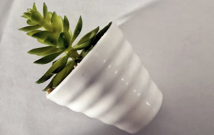 Article Image for Sustainable Innovation as a Competitive Advantage