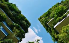Article Image for Sustainable Investing and Portfolio Performance