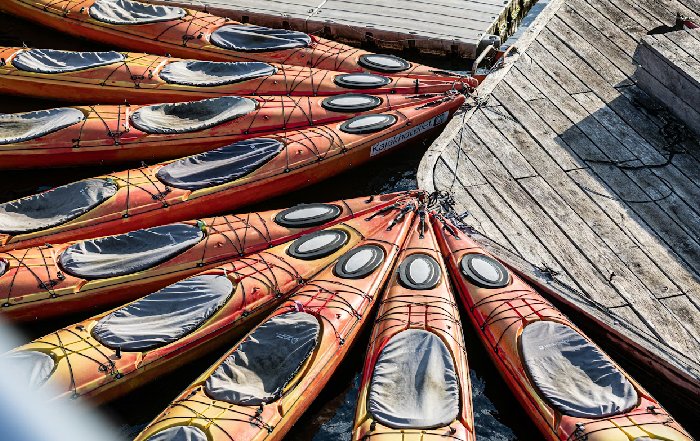 Article Image for The Danish Model for Sustainable Business