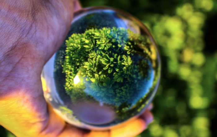 Article Image for Why Sustainable Investment Is Gaining Momentum Worldwide